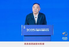 陈健：汽车财产进出口和投融资都应注沉